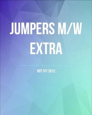 Купить Джемпер муж+жен экстра#15 кг , Лот№2612 оптом в Калуге и Калужской области