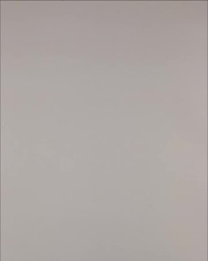 Фотография  306 - Нижнее белье Bon Prix дети#50 шт, ЛОТ №3242 оптом в Калуге и Калужской области