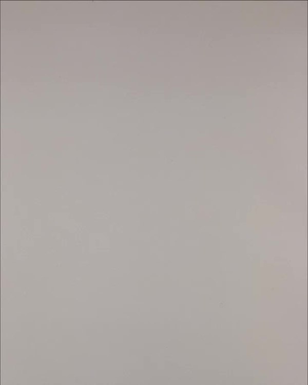 Фотография  549 - Нижнее белье Bon Prix дети#50 шт, ЛОТ №3242 оптом в Калуге и Калужской области