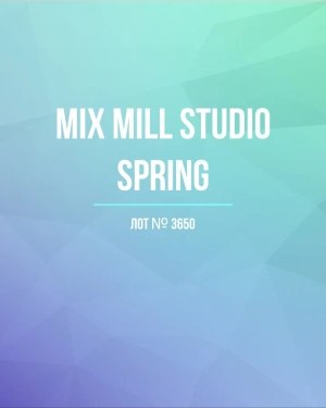 Купить MILL STUDIO Spring mix#15 кг, ЛОТ №3650 оптом в Калуге и Калужской области