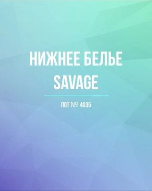 Купить Нижнее белье Savage#50 шт, ЛОТ №4035 оптом в Калуге и Калужской области