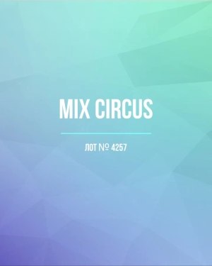 Купить CIRCUS mix #13 кг, ЛОТ №4257 оптом в Калуге и Калужской области