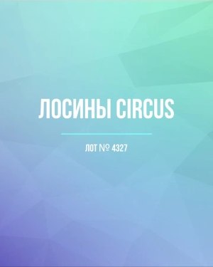 Купить Лосины CIRCUS #6,2 кг, ЛОТ №4327 оптом в Калуге и Калужской области
