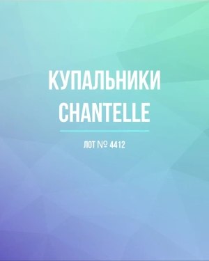 Купить Купальники Chantelle#23 шт, ЛОТ №4412 оптом в Калуге и Калужской области