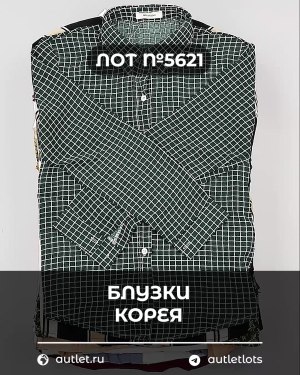 Купить Блузки Корея#20 шт, ЛОТ №5621 оптом в Калуге и Калужской области