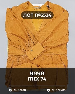 Купить YA YA 062024#39 шт, ЛОТ №6524 оптом в Калуге и Калужской области