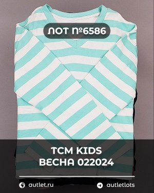 Купить TCM Kids весна 022024#7 кг, ЛОТ №6586 оптом в Калуге и Калужской области