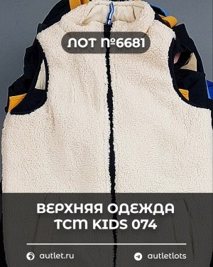 Купить Верхняя одежда TCM kids 074#7 кг, ЛОТ №6681 оптом в Калуге и Калужской области