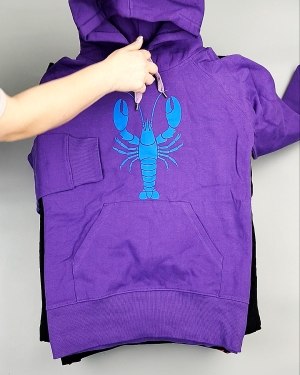 Фотография  213 - Толстовки м/ж (Sweat Tops)#20 кг, ЛОТ №7431 оптом в Калуге и Калужской области