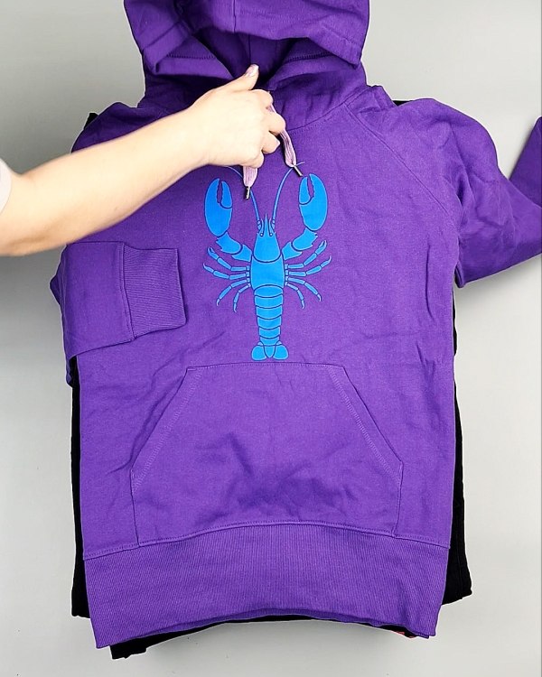 Фотография  581 - Толстовки м/ж (Sweat Tops)#20 кг, ЛОТ №7431 оптом в Калуге и Калужской области