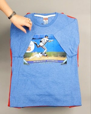 Фотография  432 - HOMAGE CAN 084#10 кг, ЛОТ №7499 оптом в Калуге и Калужской области