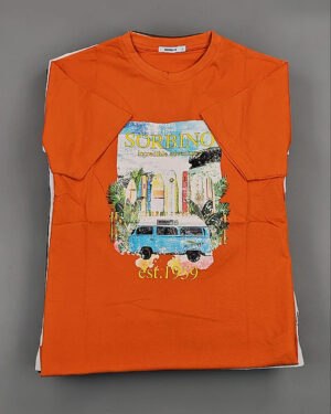 Купить Футболки мужские C-3141 (MEN T-shirt Sorbino) #4,7 кг, ЛОТ №8833 оптом в Калуге и Калужской области