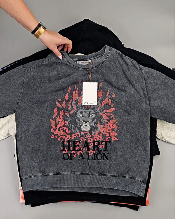 Фотография  212 - Толстовки Bestseller+DK 035#7 кг, ЛОТ СТ-9839 оптом в Калуге и Калужской области